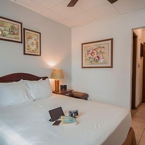 Standard Room 1 Queen Bed